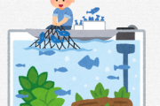 水草レイアウト水槽での魚の捕まえにくさは異常 ← これどうすればいい？