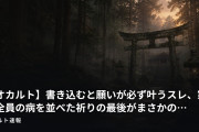 【オカルト】書き込むと願いが必ず叶うスレ、家族全員の病を並べた祈りの最後がまさかの…