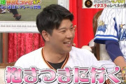 炭谷銀仁朗.262(126-33)6本26打点OPS.746守備率1.00←当初めっちゃ叩かれてた事実
