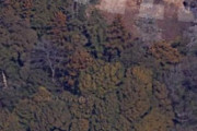 【画像】グーグルマップで近所の空撮を眺めてたら森の中に謎の神社があったわwwwwww