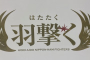 【速報】日ハムの今季スローガン「羽撃く」に決定