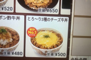 【画像】すき家の人気No.1メニューが決定