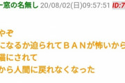 【画像】GTAオンライン、プレイヤーが猫にされる無法地帯にｗｗｗｗｗｗｗｗｗ