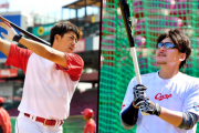 カープ選手の牛骨バット使用感、會澤｢良い弾きはしている｣野間｢スイングスピードがないとキツい｣