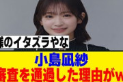 小島凪紗がオーディション審査を通過した理由が面白すぎるｗｗｗ[櫻坂46]
