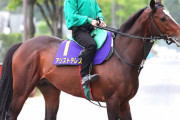 【人馬ともに復活なるか】アリストテレス　宝塚記念で武豊と新コンビ