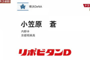 DeNA育成ドラフト３位に京都翔英高・小笠原蒼（内野手）　高校通算29本塁打の通称“宇治のゴジラ”