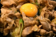 【画像】ワイ、伝説のすた丼を食いたくて仕方ない