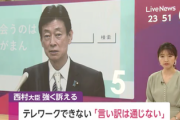 【朗報】テレワークできない企業に「言い訳は通じない」西村大臣が強く訴え
