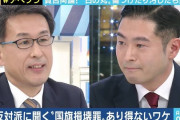 反対するって事はそういうヤツだろ　〜　【悲報】「日の丸損壊罪」法案提出へ…弁護士が批判「全体主義的だ」 違憲のおそれも