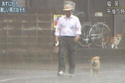 （ヽ´ん`） 「 去年死んだウチの犬がストリートビューではまだ軒先で座ってる 」