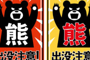 人間を箱から出してあげようとする熊　“一体なにが起こってるんだ？”　【海外の反応】