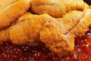 【画像】『ウニいくら丼』（時価）を「どうせ3000円ぐらいでしょｗ」とふざけて頼んだ人　→　信じられないまさかの結果になって、むせび泣く…　「味ぜんぶ吹っ飛んだ」
