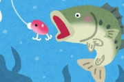 ルアー釣りとかいう素人が独学でやっても1匹も釣れない釣りｗｗｗｗｗｗｗｗｗｗｗｗｗｗ