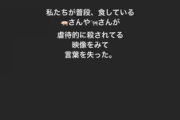 【炎上】元AKB板野友美、食肉加工現場動画を見て覚醒→ソッチ系が歓喜→翌日発言修正「あ、ヴィーガンになる訳じゃないです」