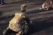 【海外】軍から戻った飼い主と犬が感動の再開！のはずが…「予想外ｗｗ」「たまにこのパターンもいいねｗ」＝海外の反応