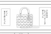 【衝撃】普通の女子「Diorのバッグ欲しかったけどパパ活バッグ呼ばわりが嫌でやめました…」←可哀想?