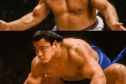 【※画像あり】千代の富士の筋肉やばすぎん？