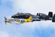 米空軍の対地攻撃機A-10CデモンストレーションチームがP-51マスタングと飛行！