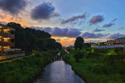 東京の夕景を歩く配信に海外視聴者が注目 二子玉川から喜多見をめぐる
