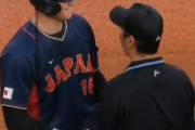 【動画】大谷翔平さん、白井塁審を殴ってしまうｗｗｗｗｗｗ