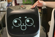 【悲報】ネコ型配膳ロボット､アルバイトの仕事を奪い始める
