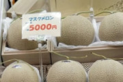 海外「このメロンが高い？妻の新メロンにはもっと金がかかったけどなHAHAHA…」90ドル近い日本のメロン（海外の反応）
