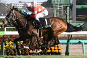 【競馬予想】[2]第48回エリザベス女王杯(GⅠ) /2023