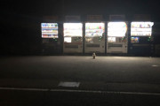 【画像】自販機の前になんかいたんだけどｗｗｗ【恐怖】