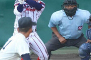 今年の甲子園つまらない連呼厨、消える