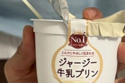 海外「日本のプリンが美味しすぎる！」訪日旅行者からも人気が高まっている日本のプリンに対する海外の反応