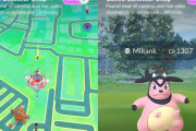 【コラ】特定のジムを見ると「表示がおかしくなって」困っています【ポケモンGO】