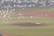【動画】 ZOZOマリンスタジアムに謎の「鳥の群れ」が襲来の異常事態　試合が中断され場内騒然