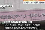 イトーヨーカドー アリオ上田店で販売されたサラダにカエル?混入