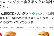 【画像】ネット民さん、マックをdisるツイートがバズるも社員が出てきて論破されるwww
