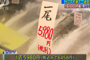 【悲報】サンマが1尾6,458円！！お前ら急げ！！！！！！！！！