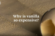 アイスクリームや香水に使われる" バニラ "はどうして高いの？ 海外の反応