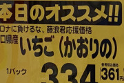 藤浪晋太郎「プレーで野球とファンに恩返しします」
