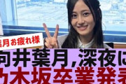 【乃木坂４６】向井葉月が乃木坂卒業を発表【反応集】