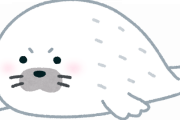 トドの餌やりをガン見するゴマフアザラシが可愛すぎると話題にｗｗｗｗｗｗｗｗｗｗｗｗｗｗｗｗｗｗ