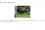 自然保護団体「日本熊森協会」が札幌のクマ生息地購入　北海道内初、全国10カ所目