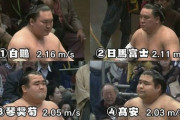 【GIF】日馬富士ファンが涙無しで見れない相撲がこれ
