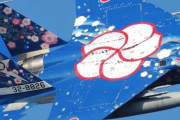 外国人「日本の航空自衛隊は戦闘機にこんな塗装してるらしい！」