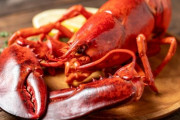 英政府、ロブスターなど甲殻類を生きたまま茹でることを禁止する方針　