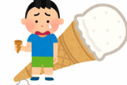 「息子が食べる前のソフトクリームを落とし、交換を依頼したら新しいものを買ってくださいと言われました。わざとじゃないのに理不尽すぎませんか？」