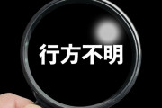 【悲報】 冨樫義博さん、行方不明