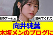 【櫻×乃木】向井純葉、あの乃木坂メンバーのブログに登場…