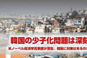 米教授「韓国の少子化は深刻な問題だ。出生率が極端に低下している」　文在寅どうすんのこれ…