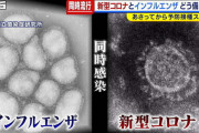 インフルエンザと新型コロナの同時感染、日本国内で確認か