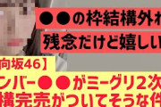 【日向坂46】このメンバーに完売が結構ついてる気配が！